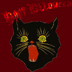 Głowa czarnego kota szczęśliwego Halloween